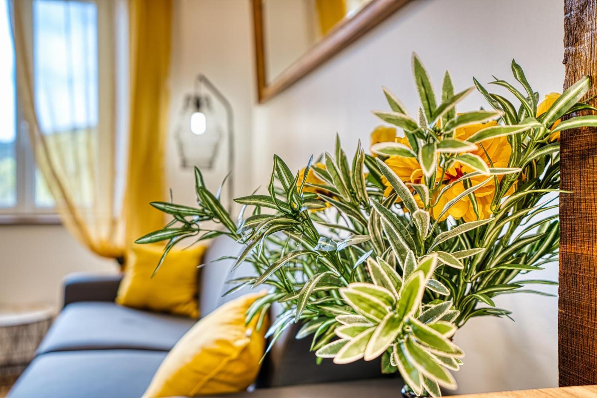 Les Hourtous Netflix Wi-Fi Fibre Terasse 4 Pers Apartamento Banassac Exterior foto